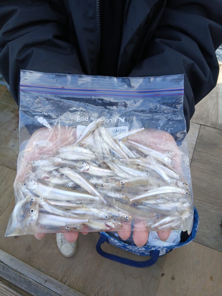 <span class="title">阿部丸今日の釣果</span>