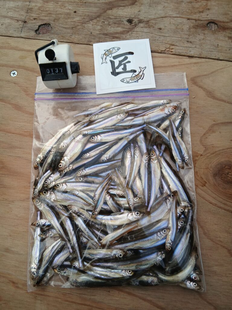 <span class="title">阿部丸今日の釣果</span>