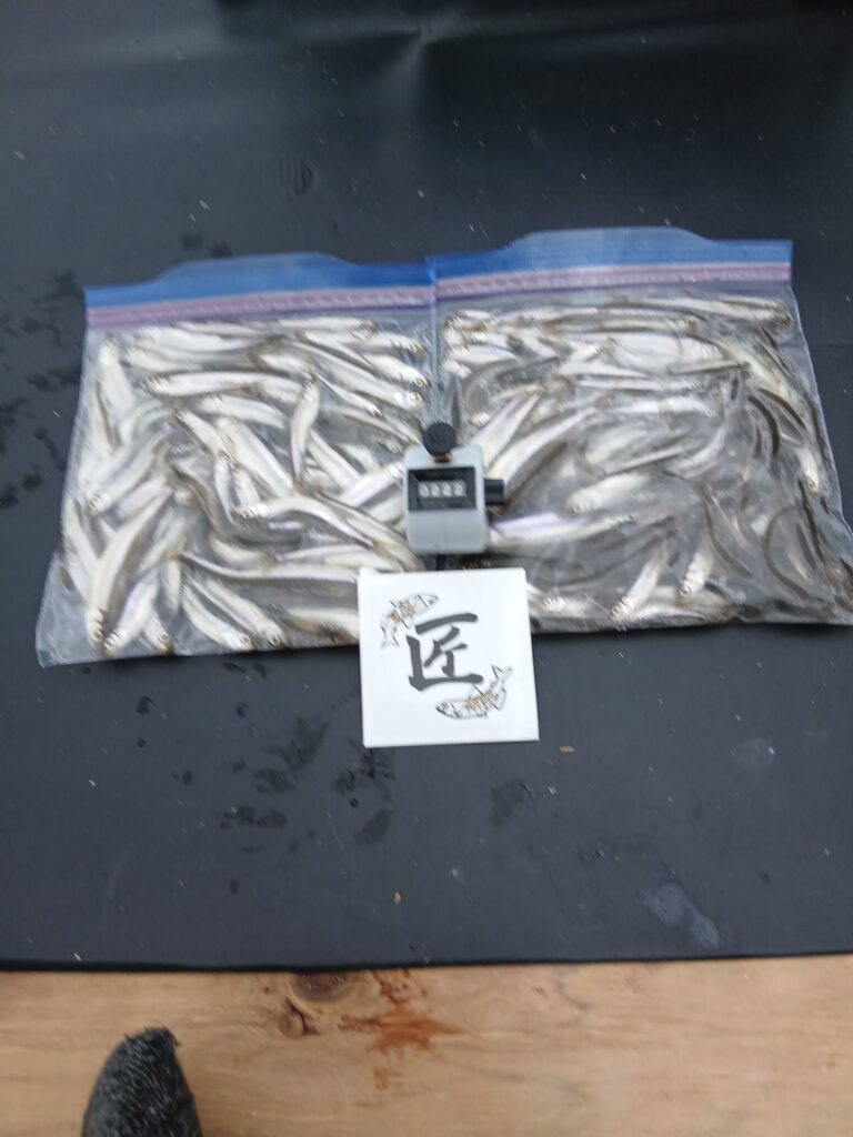 <span class="title">阿部丸今日の釣果</span>